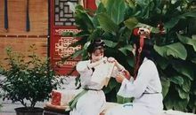 霁月难逢，彩云易散——晴雯