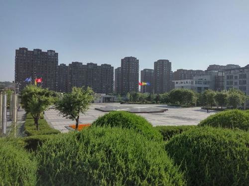 感动的青春