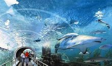 海洋馆一游