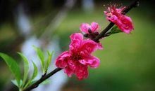 给自己一缕春风