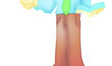 我的理想——老师