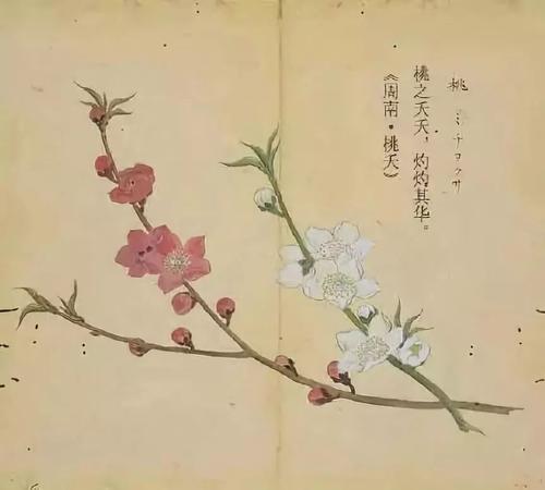 诗经之美