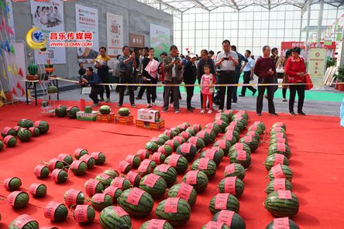 我要建一个西瓜节