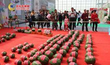 我想建立西瓜节