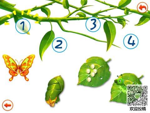 毛毛虫变成蝴蝶