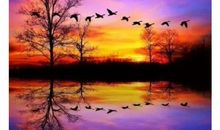 最美不过夕阳红