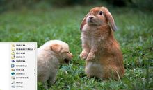 小兔小狗和鸡妈妈