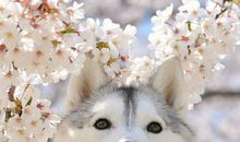 兄弟齐心，其利断金