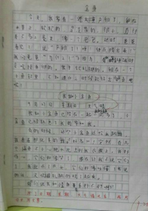 450字入门作文