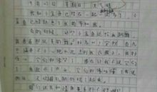 介绍一种事物的作文450字