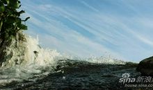 黎明的雪让我陶醉