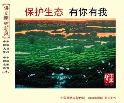 美化家园，从我开始