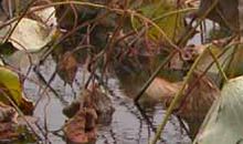 创造生命的痕迹