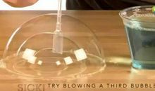 用吸管穿土豆的实验作文