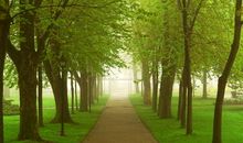 充满回忆的小路