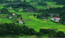 家乡路上的景色