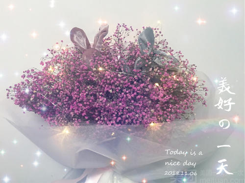 见花