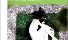 给心灵留些空隙