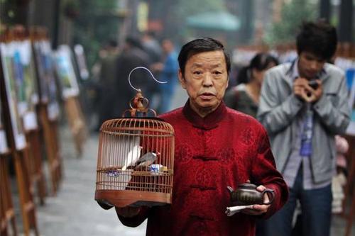 北京人