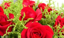 李晓明的生日作文