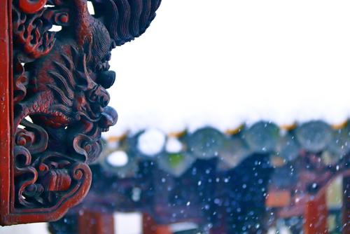 游宗昭元