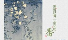 风会记得一朵花的香