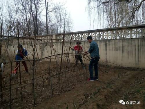 成为学生的痛苦和喜悦