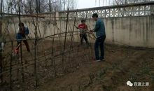 当学生的苦与乐