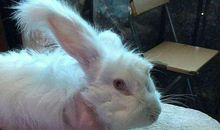 难忘那恐惧的眼神