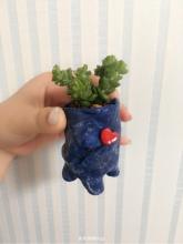 肉质的启示