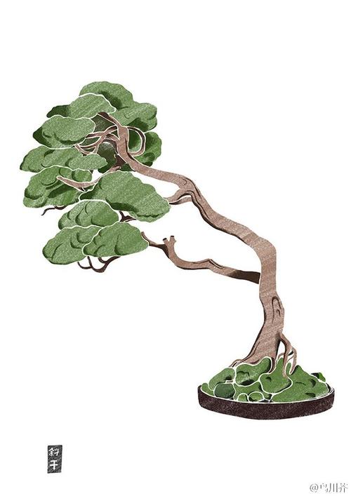 记忆深处的绿色莳萝