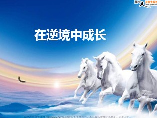 增长需要逆境