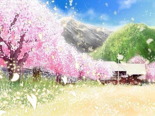 我爱樱花