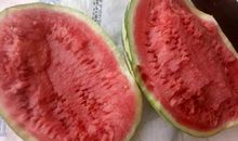 甜在心里的西瓜