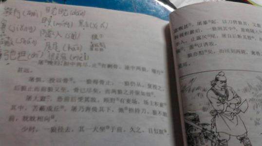 关于阅读《狼》的思考