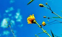 人生短暂何苦不快乐