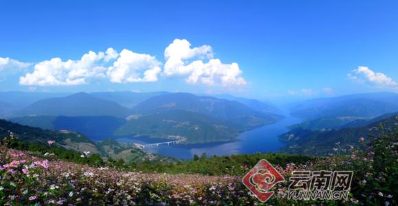 魅力茶文化