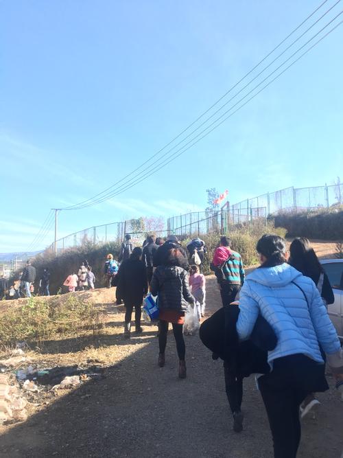 家庭收益