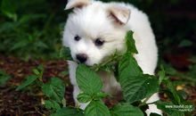 那一次我很快乐