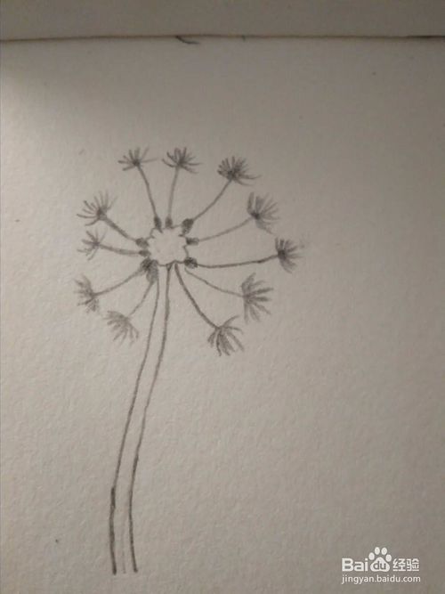 给家人留一些空间