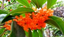 遇见校园美好的金秋