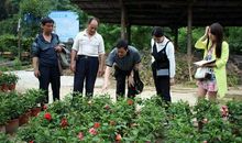 宽舒福长，近泽促短