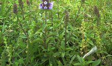 阳光就在我身边