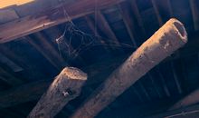 成长的“足”迹