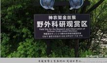 我和国宝的亲密接触