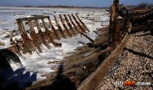 追寻那不屈的脊梁