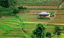 宽容是一道美丽的风景线