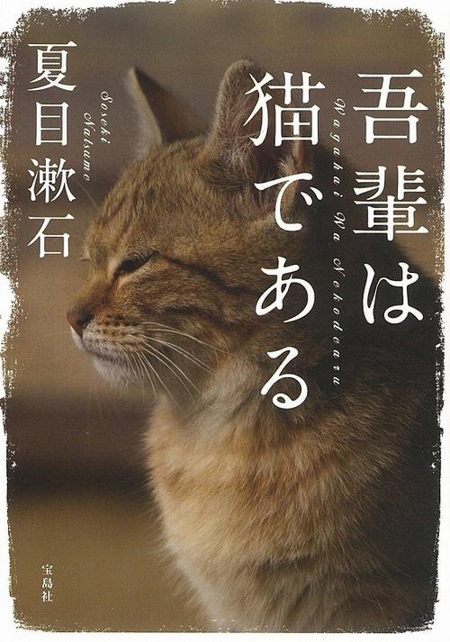 我是一只猫
