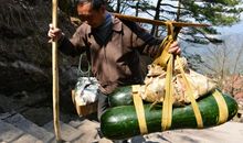 那道身影进入了我的视线