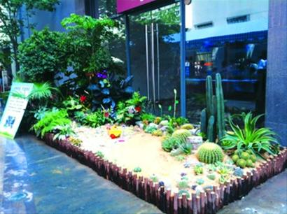 校园植物园